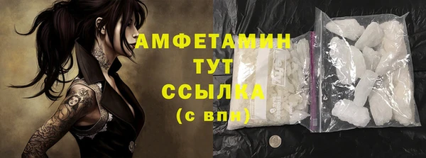 альфа пвп Новодвинск