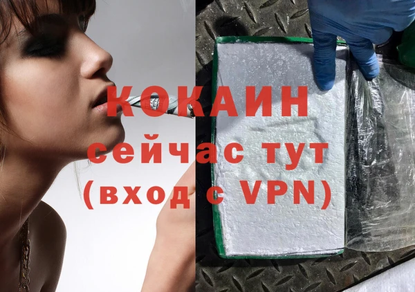 МДПВ Нея