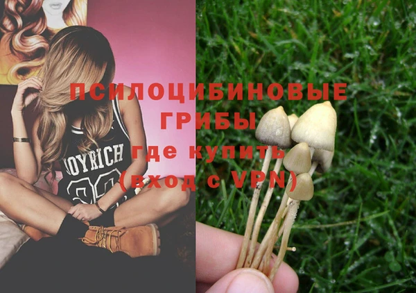 альфа пвп Нефтекумск
