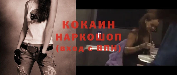 МДПВ Нея