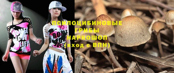кокс Новокубанск