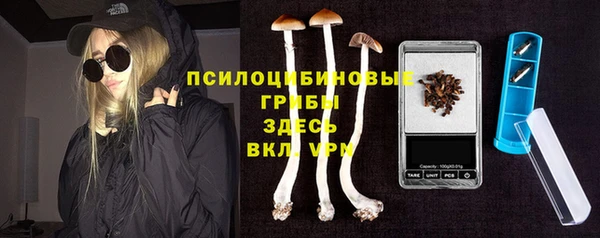 МДПВ Нея