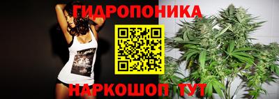 сатива Краснознаменск