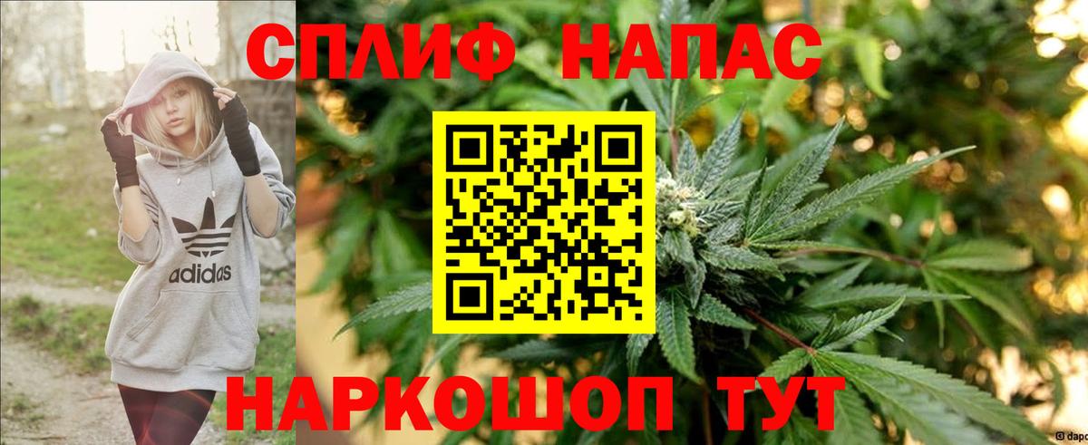 Конопля SATIVA & INDICA  Вход с VPN  Шишки марихуана план  Канабис гибрид  Кинель 